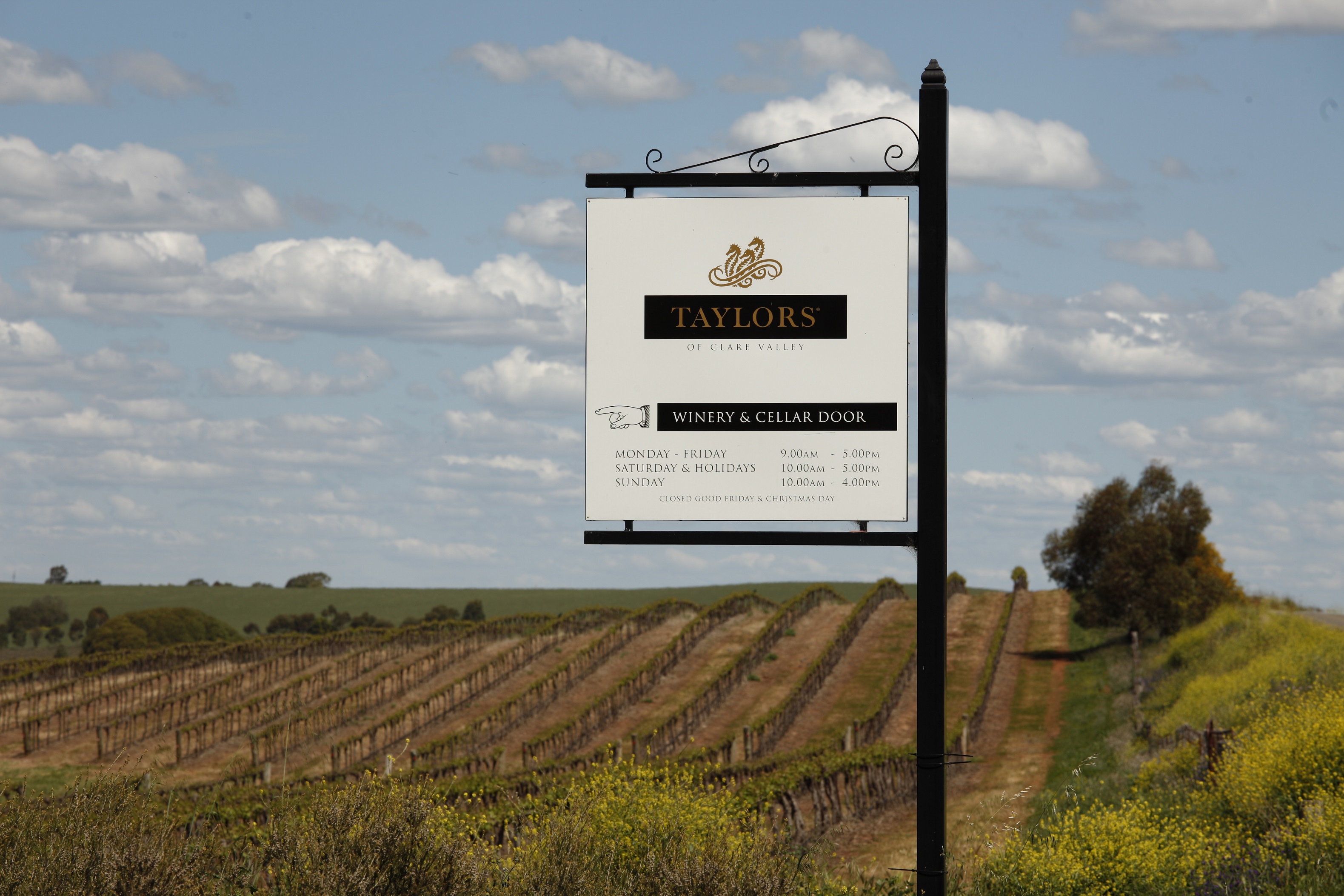 Taylors Cellar Door